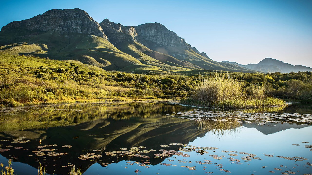 Helderberg Nature Reserve scenic mountain hiking and fynbos trails